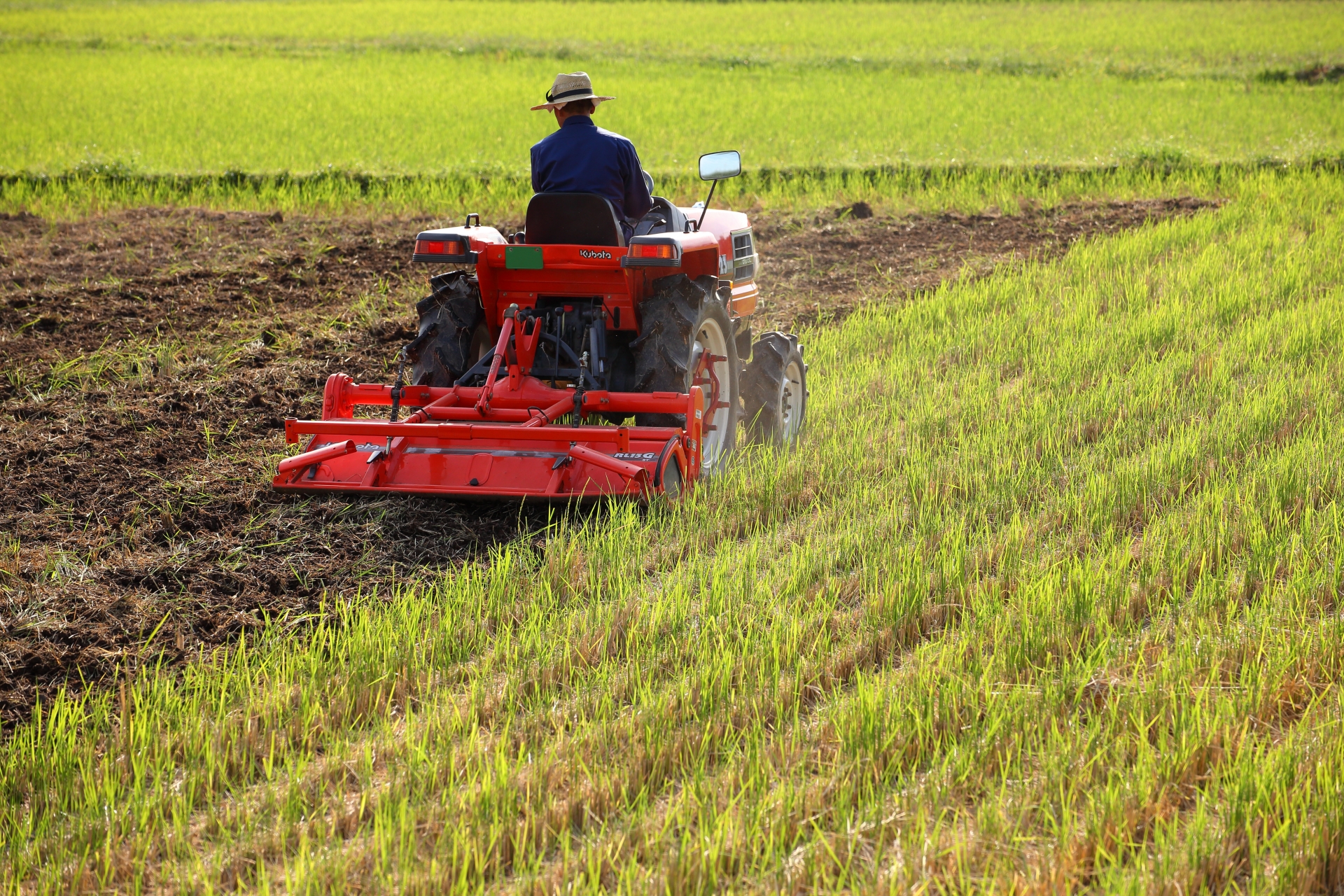 食をめぐる人と環境　その未来を育てる