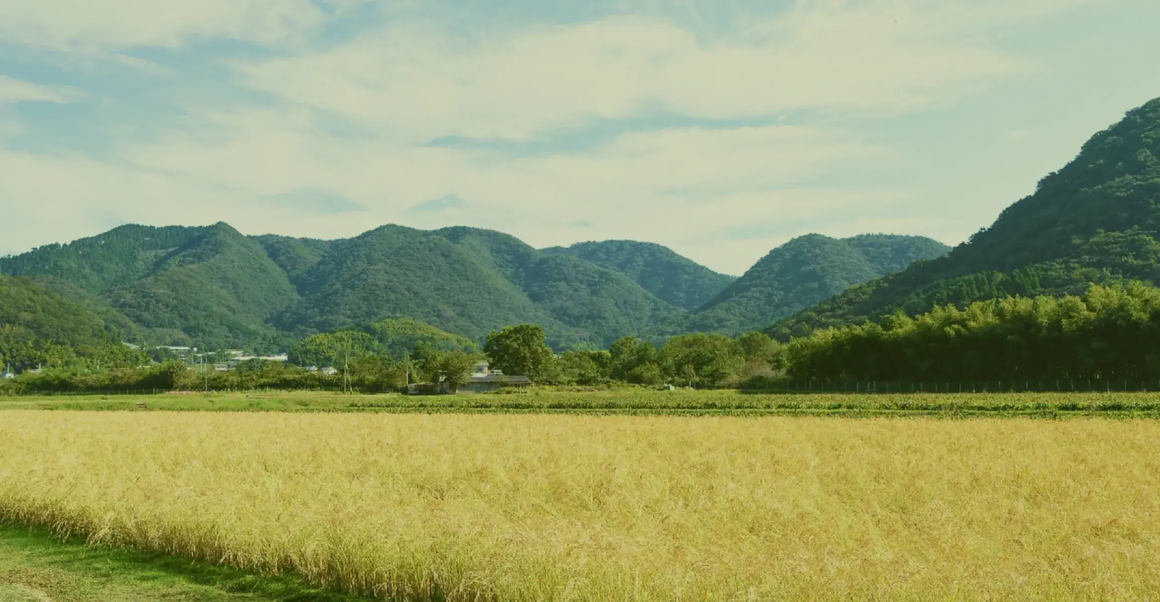 株式会社こばふぁーむ